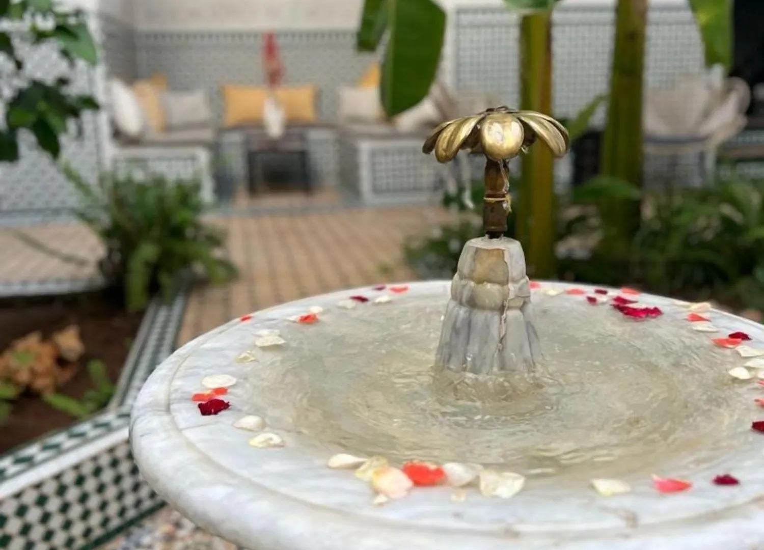 Riad Afous Marrakesh 0*,  Marocco